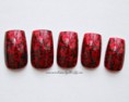 /album/fotogaleria-nechtiky-/nails-a-jpg1/